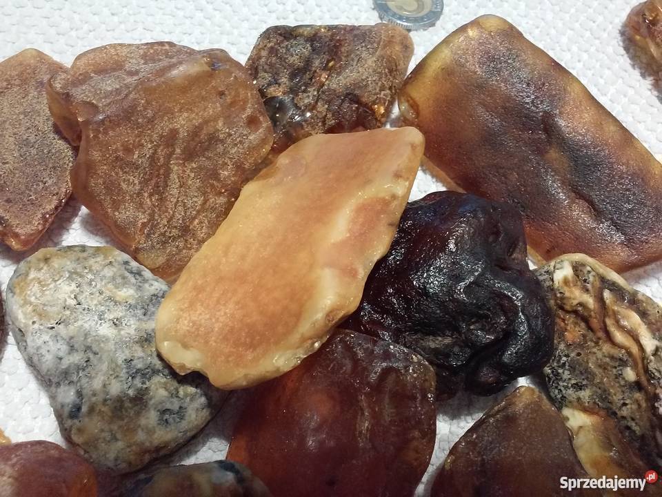 Bursztyn Bałtycki 2050 g 363g Produkcja