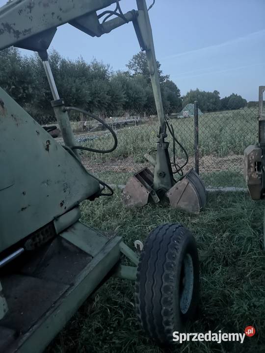 Cyklop rolniczy Warszówka