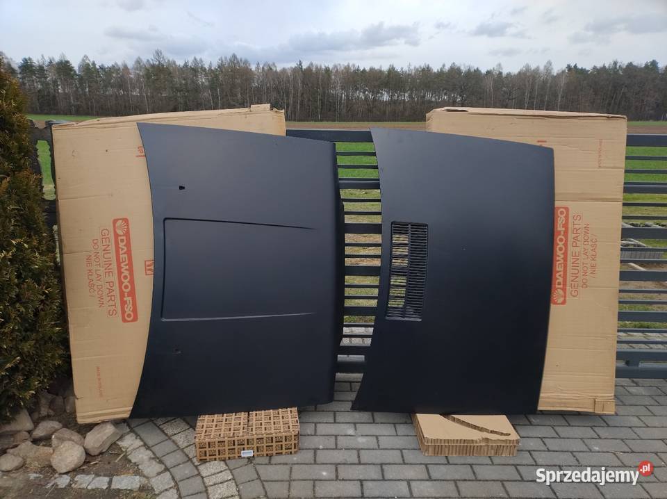 Polonez borewicz akwarium caro NOWA IDEALNA Olesno