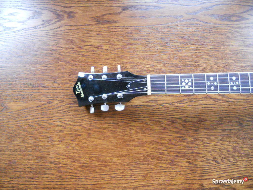 guitarbanjo Tyler electroacoustic dolnośląskie Bielany Wrocławskie