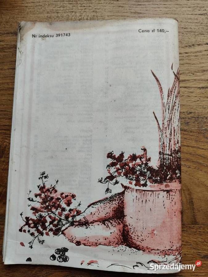 Obiady błyskawiczne Alina Stradecka Kraków