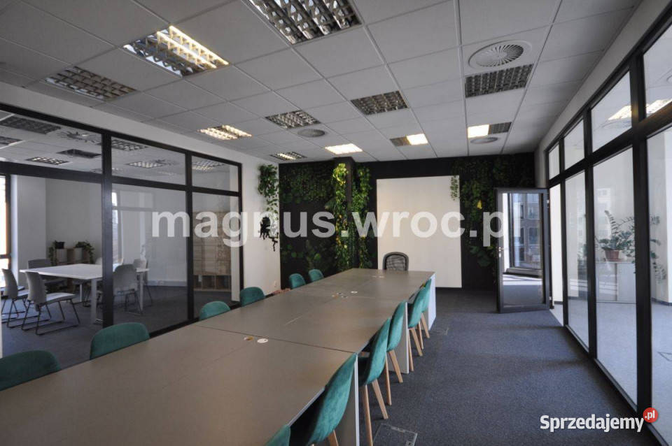 Biuro na wynajem w centrum Wrocławia Wrocław