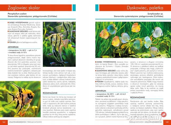 Atlas ryb akwariowych Maja Prusińska Osięciny