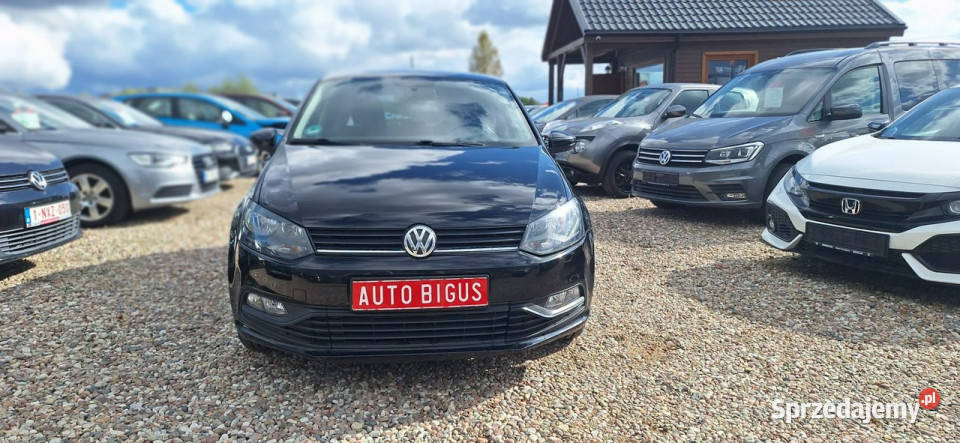 Volkswagen Polo super stan ekonomiczny V Lębork