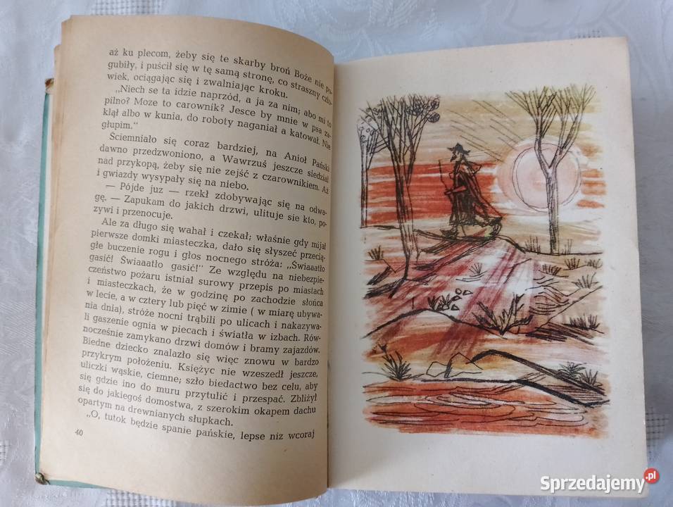 Książka HISTORIA ŻÓŁTEJ CIŻEMKI wyd 1959 powieść Oborniki