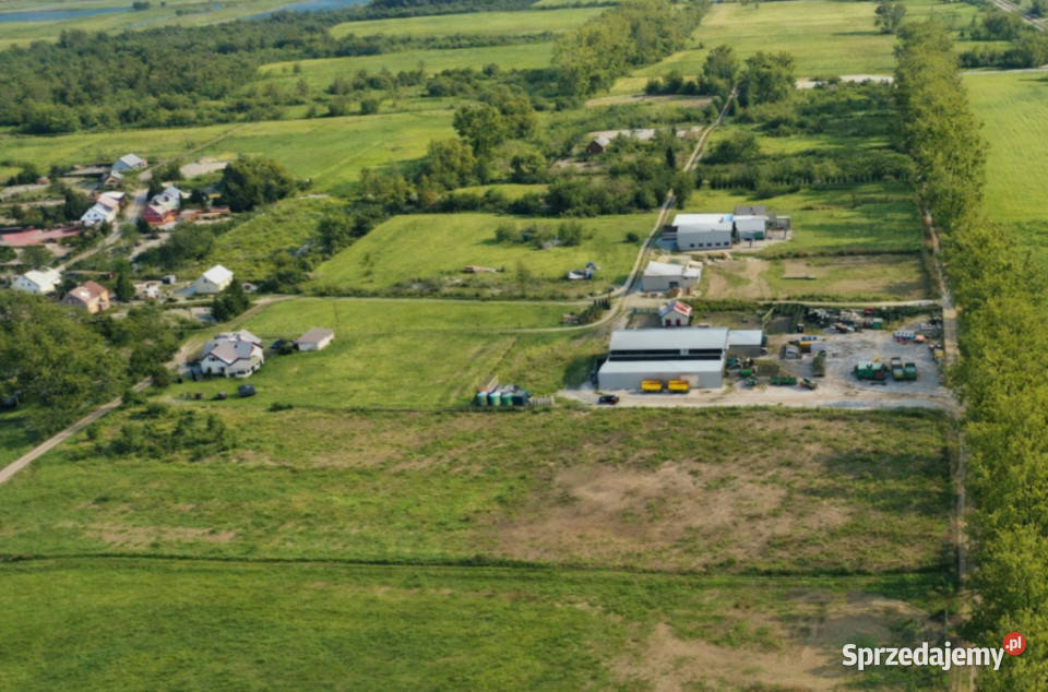 Teren pod budowę domu Sprzedaż Daleszewo