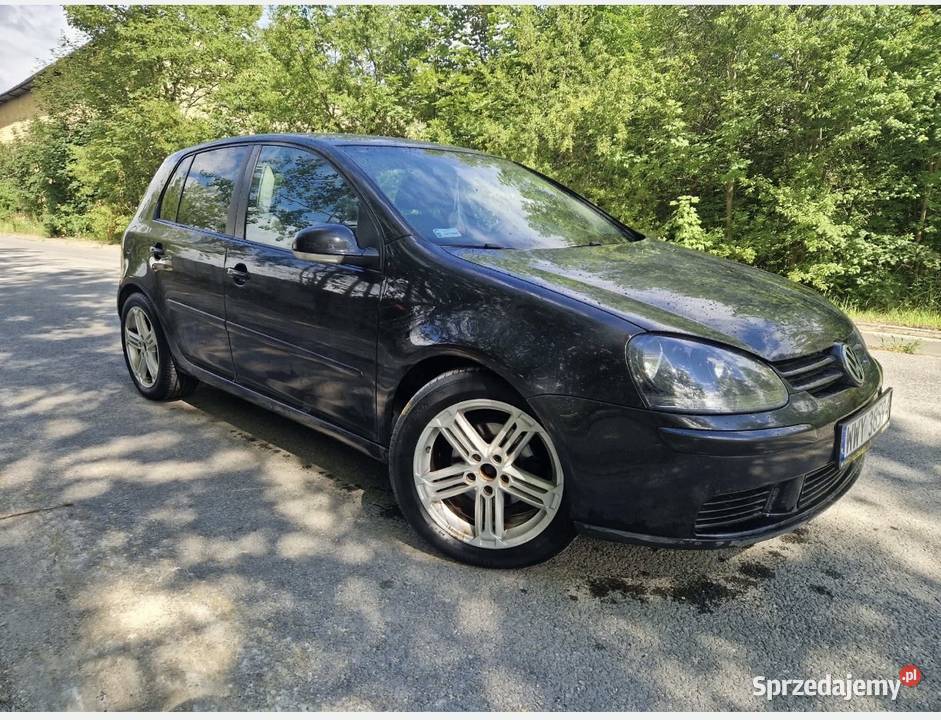 Volkswagen Golf 19TDI 101 2006 nieuszkodzony Pińczów sprzedam