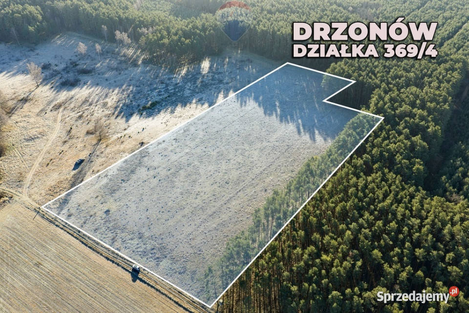 Na sprzedaż działka inwestycyjna 24900 m Drzonów