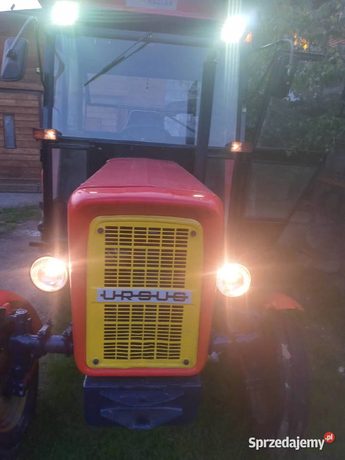 Ursus c 360355