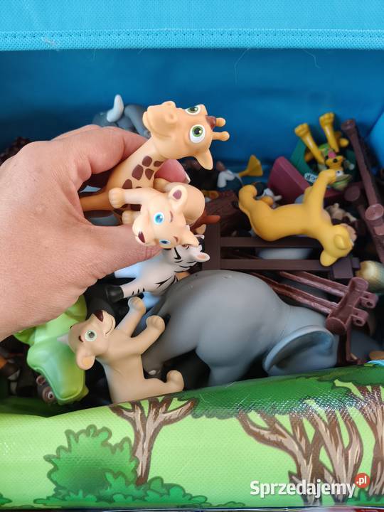 Zwierzęta Safari Disney podkarpackie Golemki