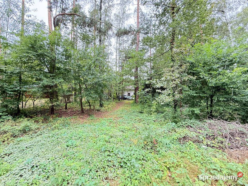 Działka budowlana w Rosanowie wz pozwolenie na Rosanów