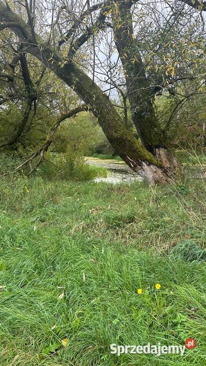 Działka Tarnów Wilga sprzedam