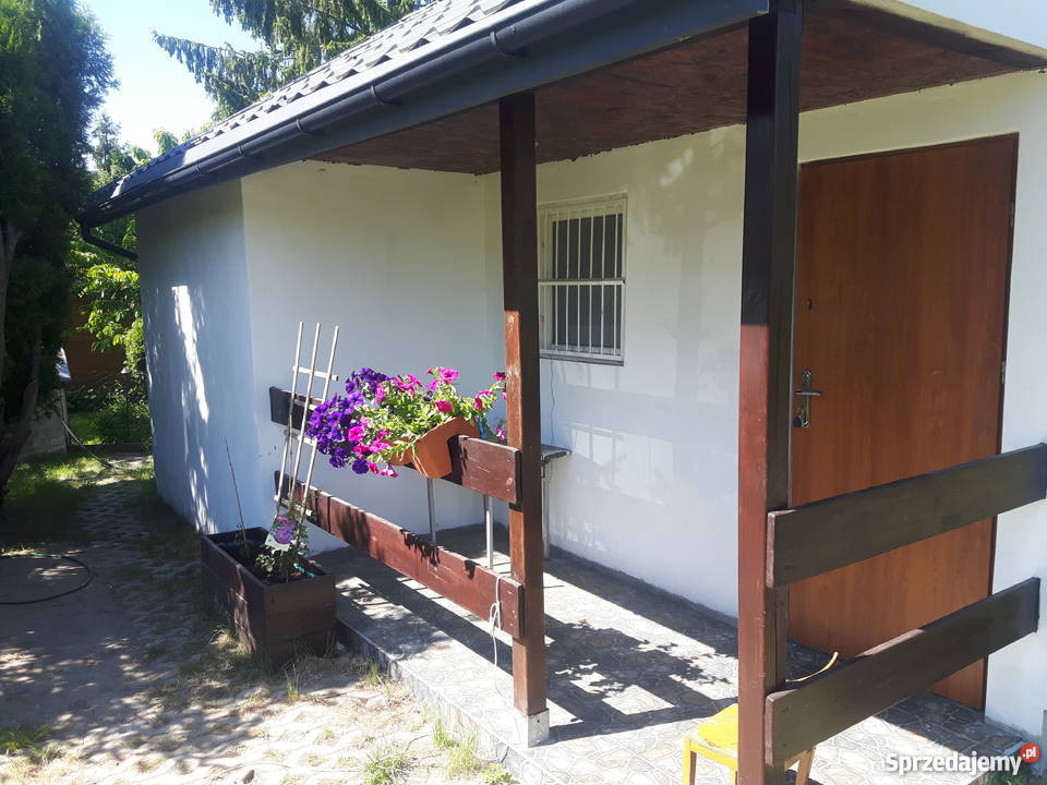 Dzialka ROD Paluch Miejski Warszawa