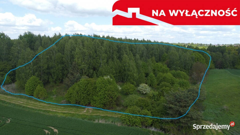 Działka 215 ha z potencjałem koło Nałęczowa Chruszczów-Kolonia