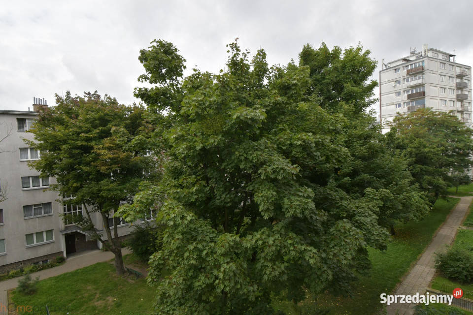 Mieszkanie 20m2 1 pokój Wrocław