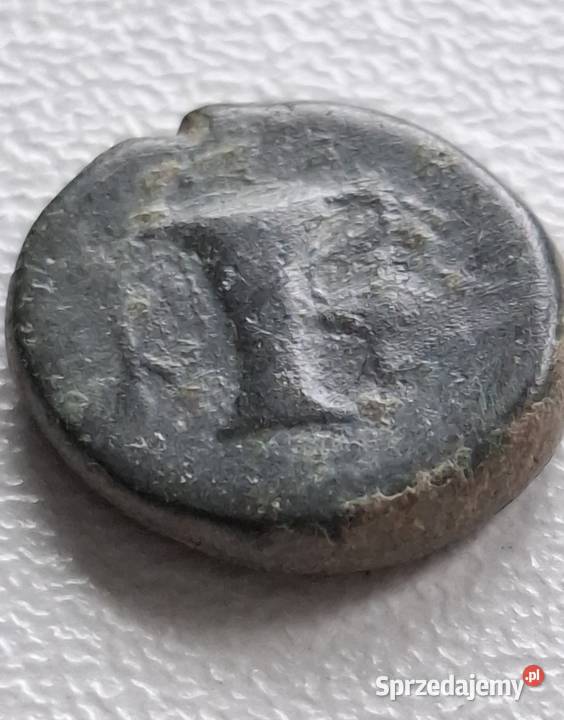 Moneta antyczna Grecja Aeolis Kyme 350250 BC pomorskie Wejherowo