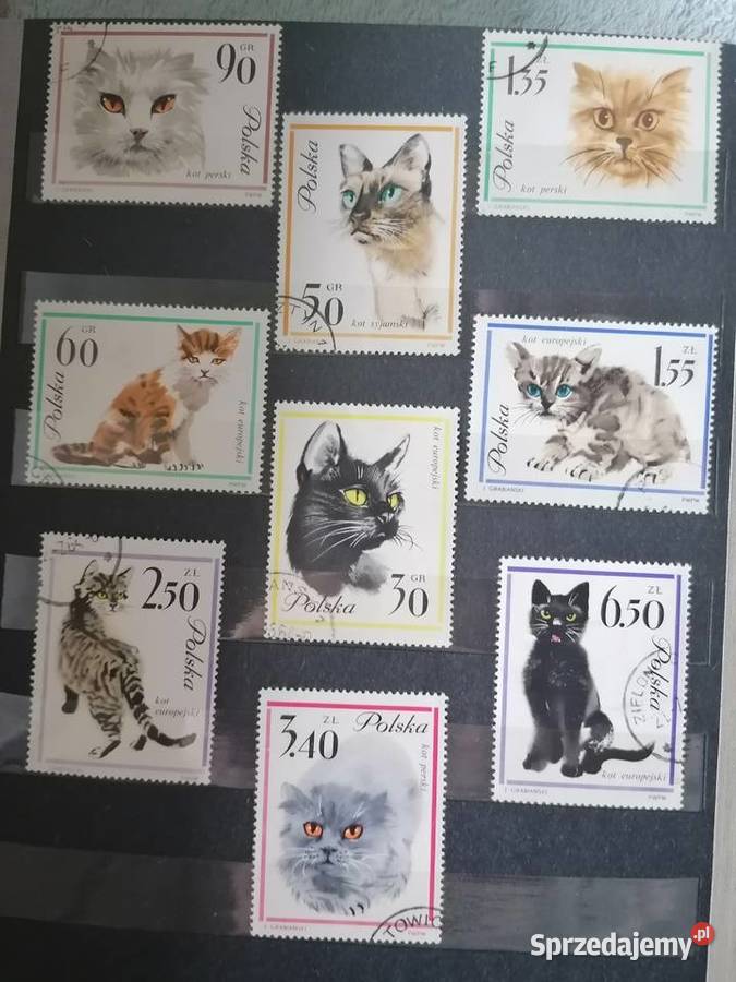 Album ze znaczkami nowymi i z pieczątkami lata Kraków sprzedam