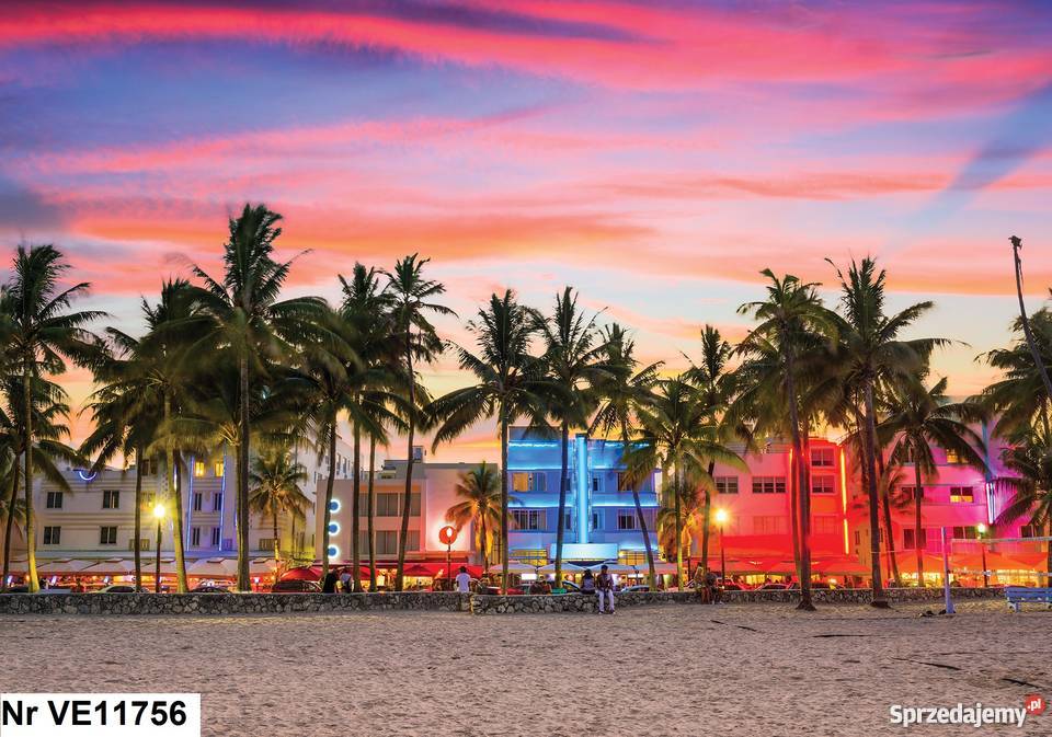 Tapeta fototapeta Plaża palmy morze widok wewnętrzne wielkopolskie Leszno