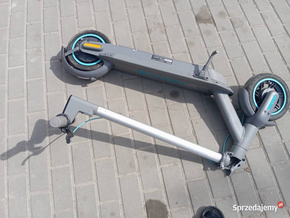 holail nogę eley Ropczyce