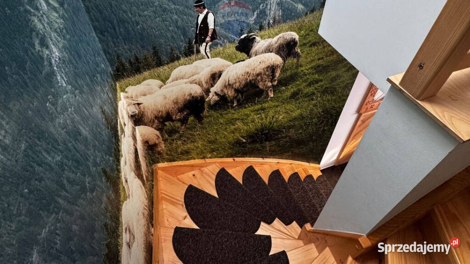 DWA DOMY W CENTRUM W RATUŁOWA Ratułów