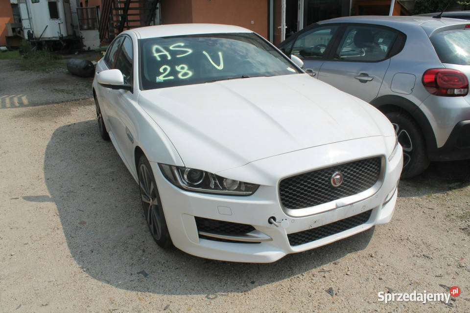 Jaguar XE I 2014 Ostrów Wielkopolski