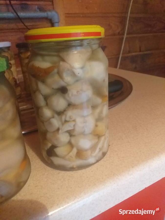 Grzyby świeże prawdziwki Zawoja