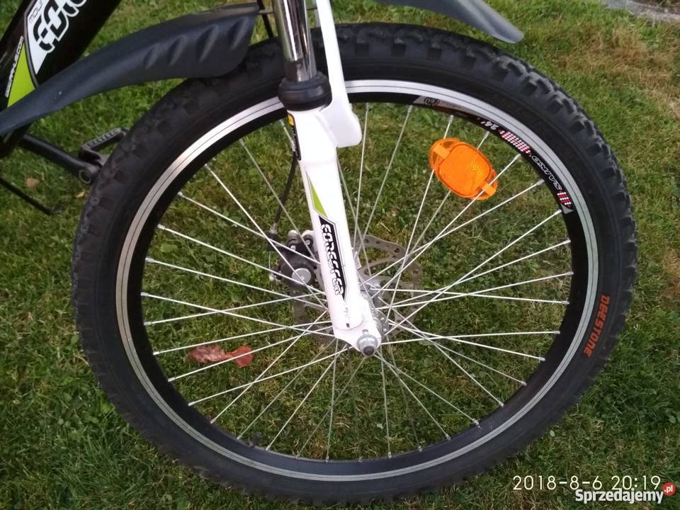 ROWER GÓRSKI 24 FORESTER RAPTOR Górki Małe