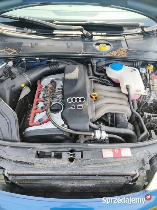 Audi A4 b6 262800km Wielmoża
