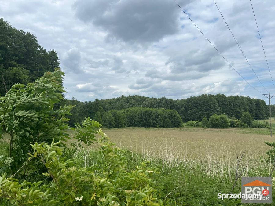 Działka 7300m2 Ościęcin rolna Sprzedaż