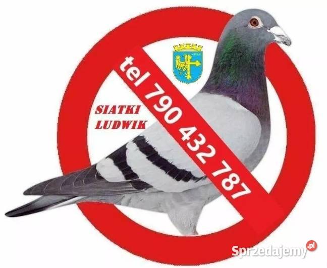 SIATKA KOT GOŁĄB Województwo OPOLSKIE LUDWIK Opole
