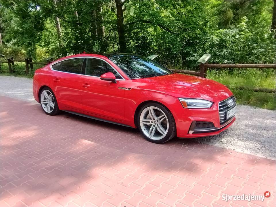 Audi A5 PREMIUM PLUS SLINE Quattro 20 TFSI 252 nieuszkodzony