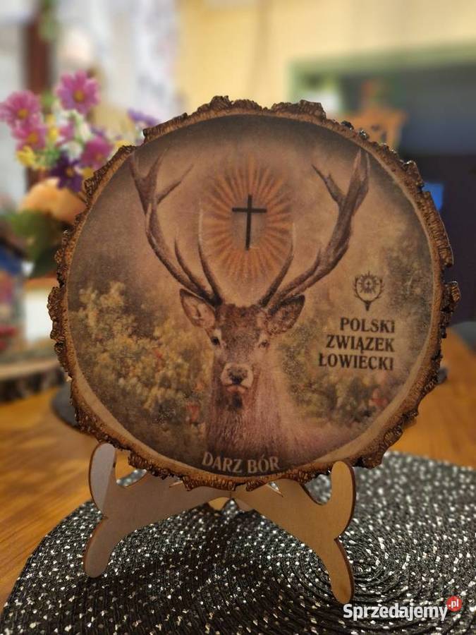 Obrazek na plastrze brzozy podkarpackie Strzyżów