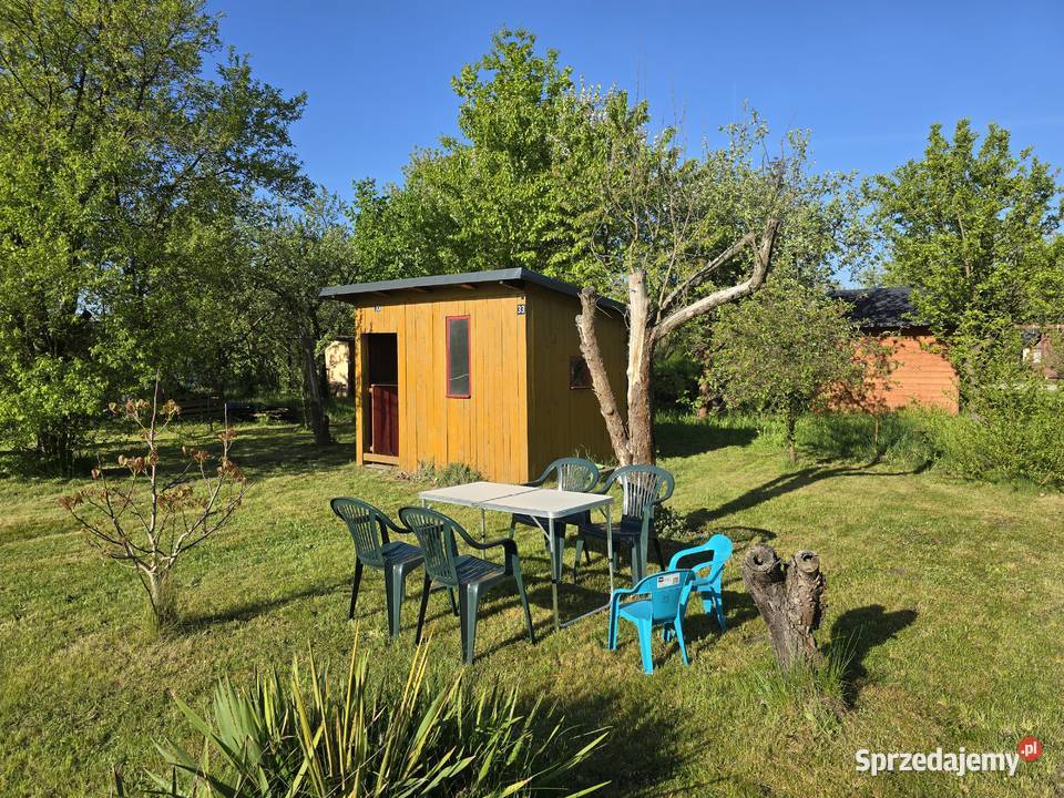 Ogródek działkowy ROD Energetyk Brochów Wrocław