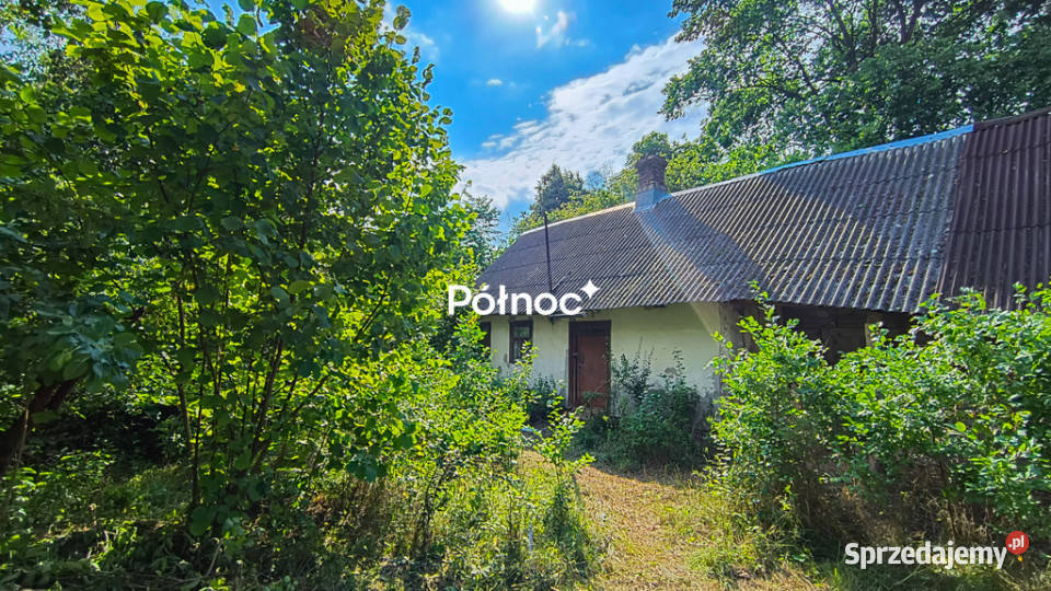 Siedlisko z sadem Pojelce gm Biała Podlaska