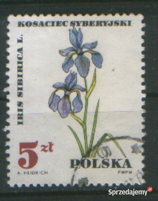 Zn Fi 1592 9 600 3 18 20 2Pw 7 34 5 68kas 1967