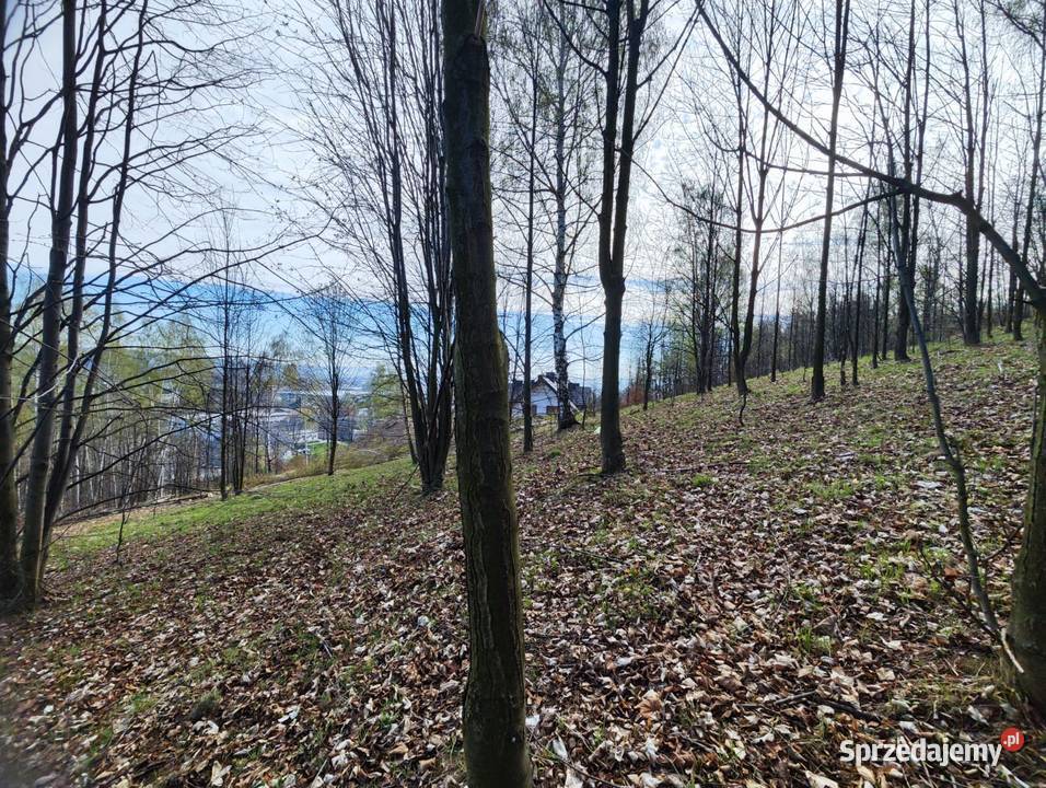 Działka budowlana lesie w górach woda 1349m2 Sosnówka