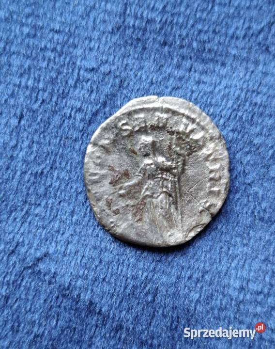 Moneta Imperium Romanum denar Julia Mamaea pomorskie Wejherowo