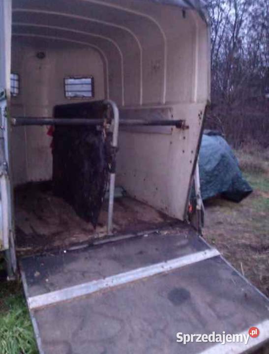 Przyczepa na dwa konie koniowóz Boeckman t2v Przyczepy i naczepy wielkopolskie sprzedam