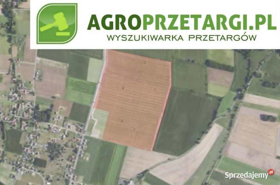 Dzierżawa 3292 ha gruntu rolnego Trzebnica sprzedam