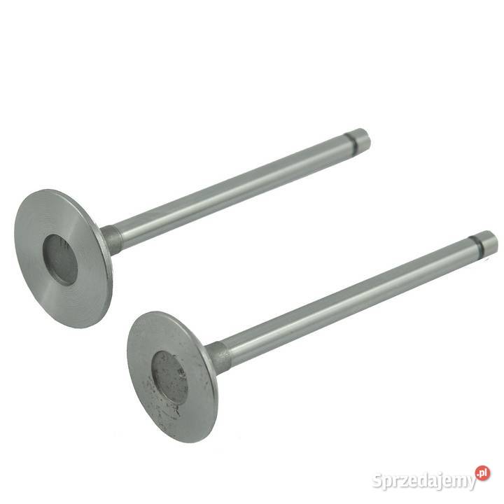 Zawory silnika Toyosha S111P126 Hinomoto Tajęcina