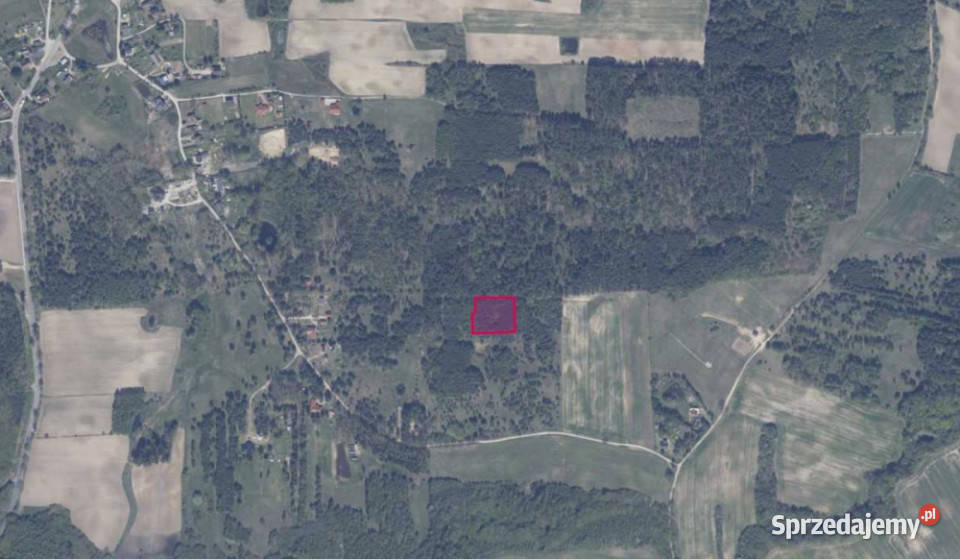 Działka 8613 w Granicznej Wsi Graniczna Wieś