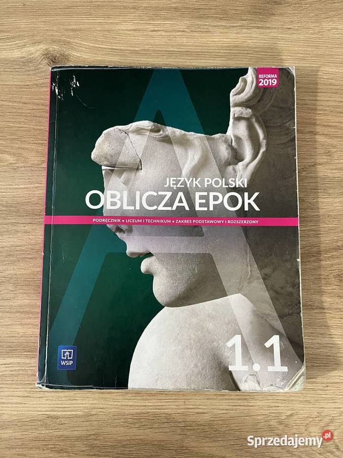 Podręcznik Książka Liceum Technikum Język Polski małopolskie Jerzmanowice sprzedam