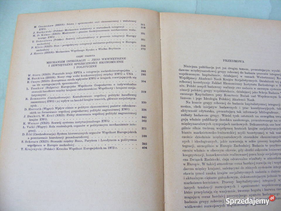 Ekonomiczne i polityczne mechanizmy integracji