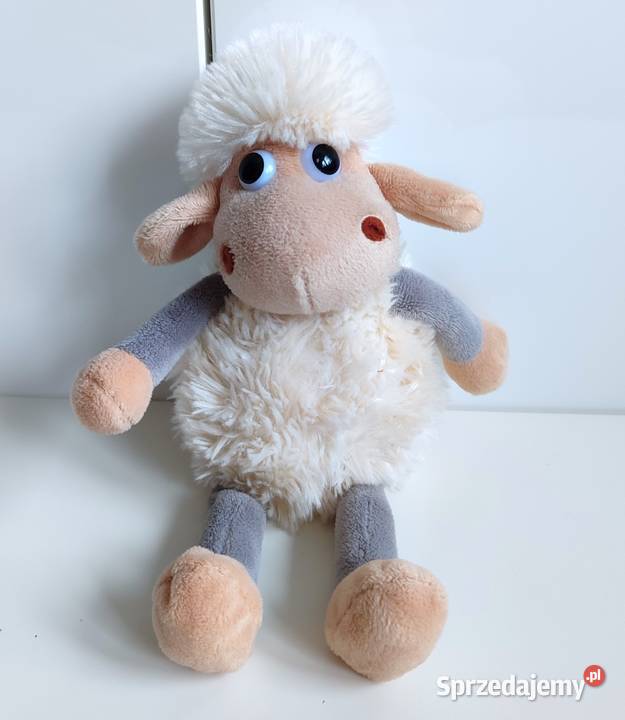 Owieczka SunDay Katowice