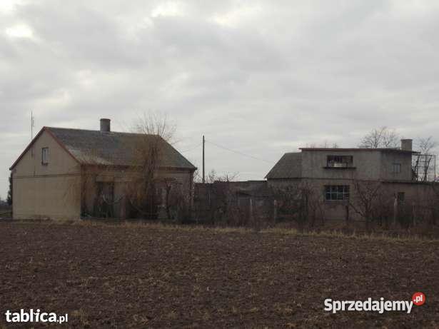 Siedlisko w Zagajewicach gm Osięciny Dom z zabu Osięciny