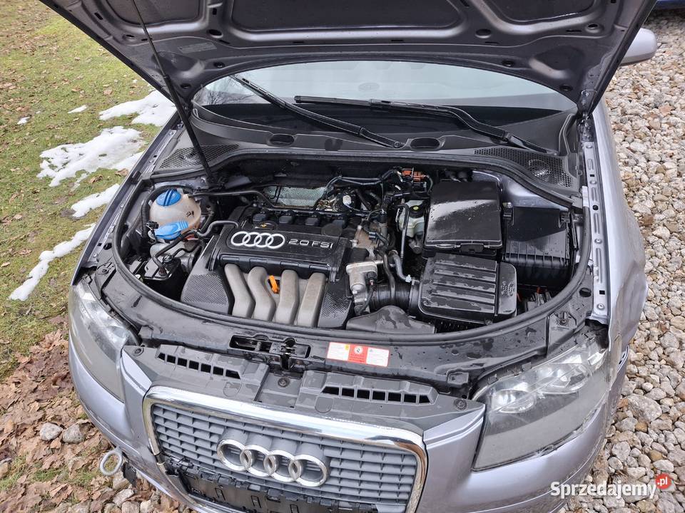 silnik 20 FSI 150 BLX Rok produkcji 2004 Starachowice
