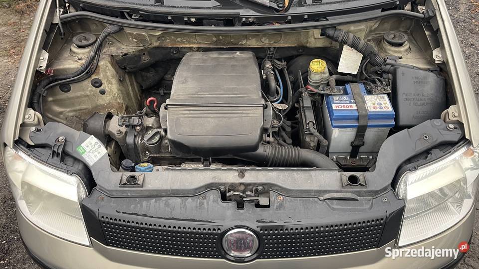 Fiat Panda 11 8V kolor 652 silnik 187A1000 NA Piotrków Trybunalski