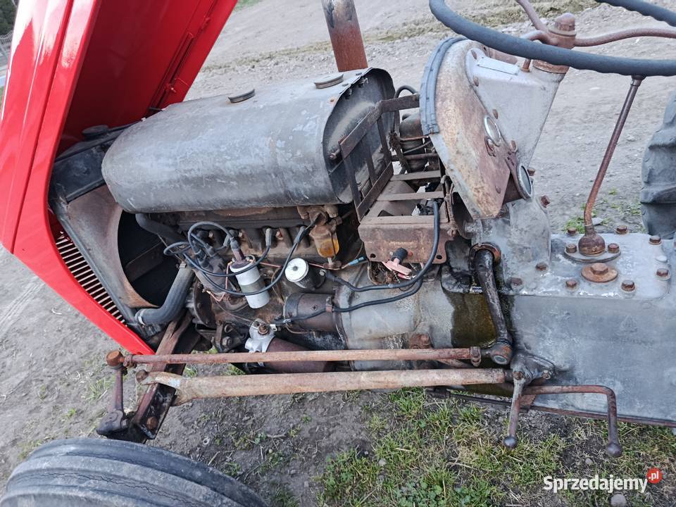 Ferguson tea 20 Kalisz