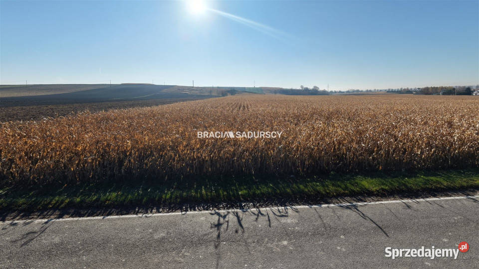 Działka 1000 metrów PrandocinIły gaz małopolskie Prandocin-Iły