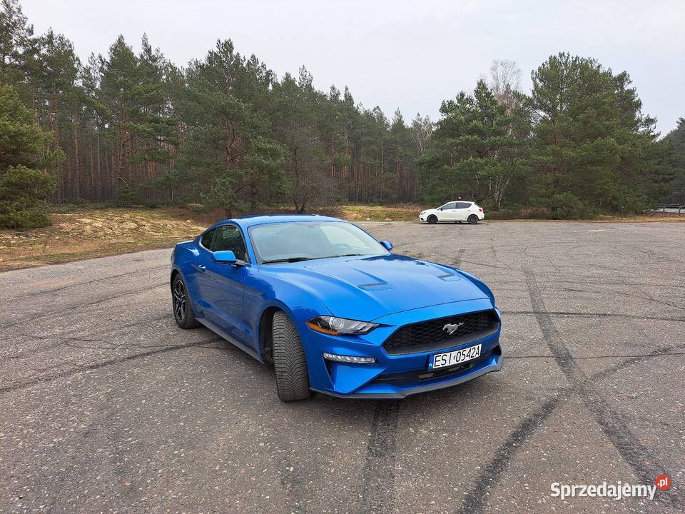 Ford Mustang 23 ecoboost Lasek sprzedam